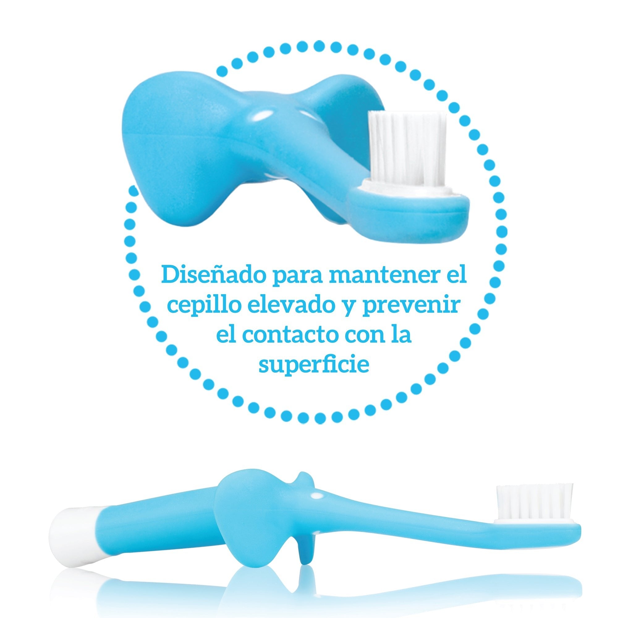 Las Muelas Bebe Meses Y Medio Dientes Cepillo De Dientes DrBrowns